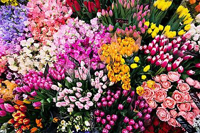 Epic喜加一：《生化奇兵合集》免费领取