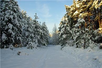 《盗贼之海》第五赛季现已免费上线 可以为其他玩家创建寻找任务